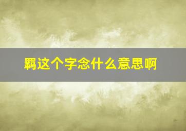 羁这个字念什么意思啊