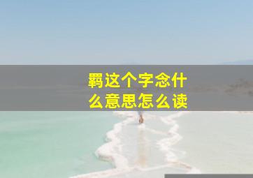 羁这个字念什么意思怎么读