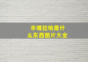 羊嘎拉哈是什么东西图片大全