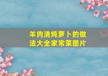 羊肉清炖萝卜的做法大全家常菜图片