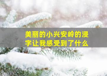 美丽的小兴安岭的浸字让我感受到了什么