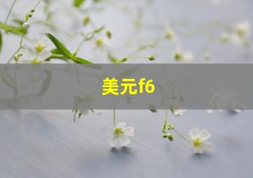 美元f6