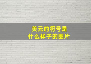 美元的符号是什么样子的图片