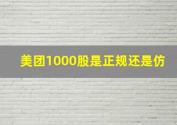 美团1000股是正规还是仿