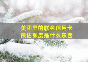 美团里的联名信用卡预估额度是什么东西