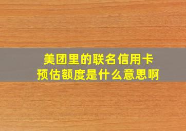 美团里的联名信用卡预估额度是什么意思啊