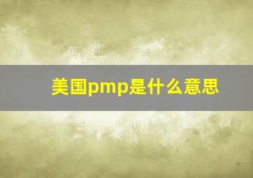 美国pmp是什么意思