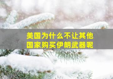 美国为什么不让其他国家购买伊朗武器呢