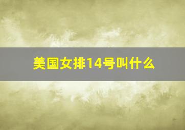 美国女排14号叫什么