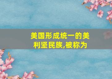 美国形成统一的美利坚民族,被称为