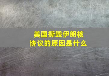 美国撕毁伊朗核协议的原因是什么