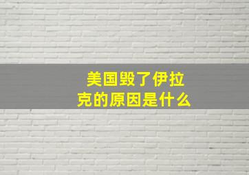 美国毁了伊拉克的原因是什么