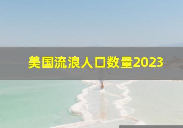 美国流浪人口数量2023