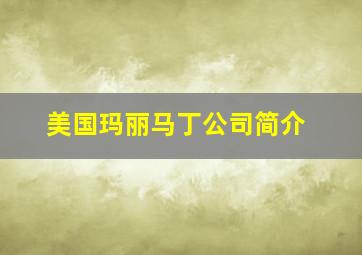 美国玛丽马丁公司简介