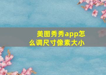 美图秀秀app怎么调尺寸像素大小