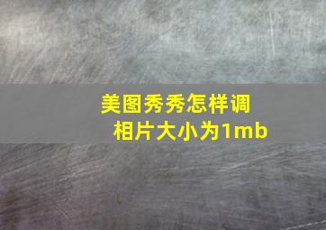 美图秀秀怎样调相片大小为1mb