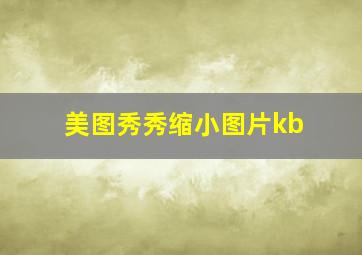 美图秀秀缩小图片kb