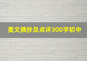 美文摘抄及点评300字初中