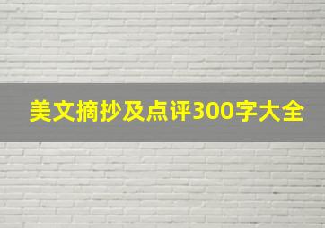 美文摘抄及点评300字大全