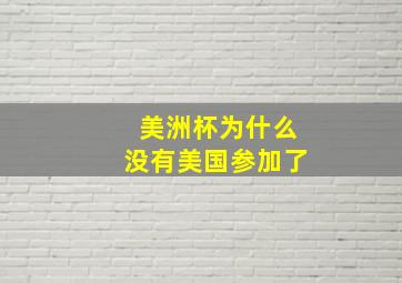 美洲杯为什么没有美国参加了