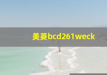 美菱bcd261weck