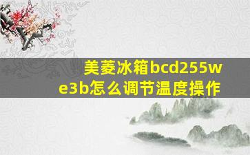 美菱冰箱bcd255we3b怎么调节温度操作