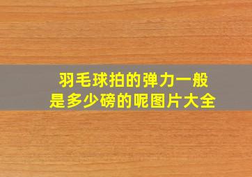 羽毛球拍的弹力一般是多少磅的呢图片大全