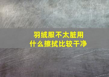 羽绒服不太脏用什么擦拭比较干净