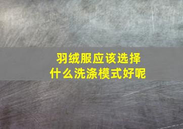 羽绒服应该选择什么洗涤模式好呢