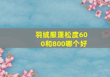 羽绒服蓬松度600和800哪个好