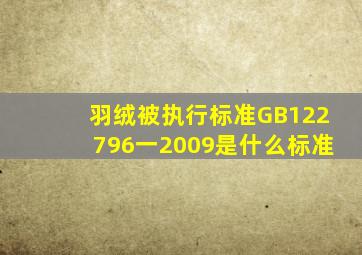 羽绒被执行标准GB122796一2009是什么标准