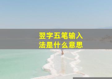 翌字五笔输入法是什么意思