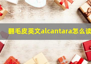 翻毛皮英文alcantara怎么读