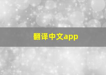 翻译中文app