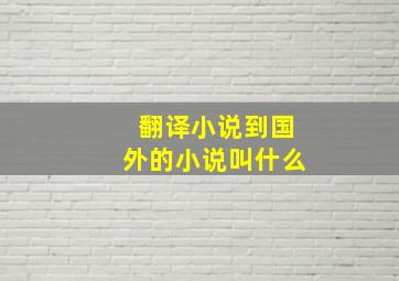 翻译小说到国外的小说叫什么