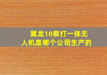 翼龙10察打一体无人机是哪个公司生产的