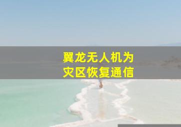 翼龙无人机为灾区恢复通信