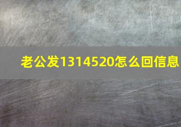 老公发1314520怎么回信息