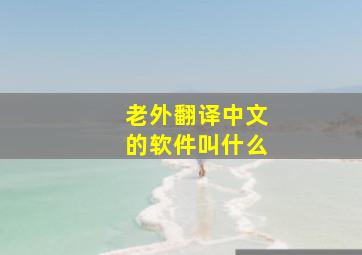 老外翻译中文的软件叫什么