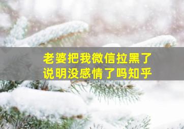 老婆把我微信拉黑了说明没感情了吗知乎