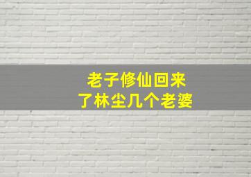 老子修仙回来了林尘几个老婆