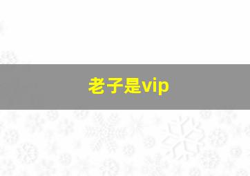 老子是vip