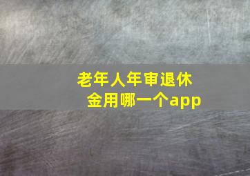 老年人年审退休金用哪一个app