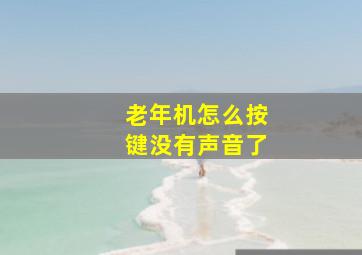 老年机怎么按键没有声音了