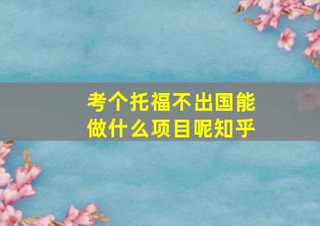 考个托福不出国能做什么项目呢知乎