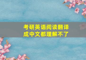 考研英语阅读翻译成中文都理解不了