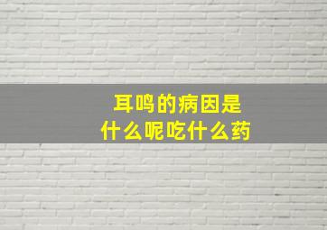 耳鸣的病因是什么呢吃什么药