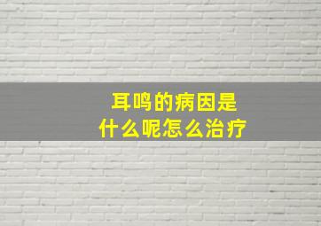 耳鸣的病因是什么呢怎么治疗