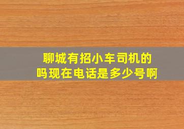 聊城有招小车司机的吗现在电话是多少号啊