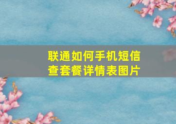 联通如何手机短信查套餐详情表图片